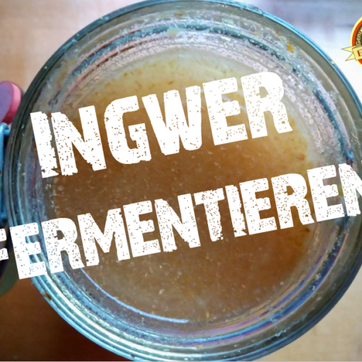 Ingwer fermentieren © ECHTES.rocks!