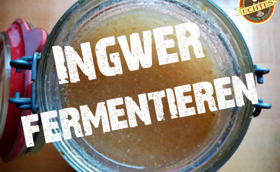 Ingwer fermentieren © ECHTES.rocks!